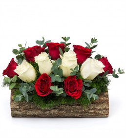 Dogal Ahşap Kütükte Güller